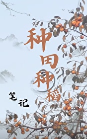 种田种稻笔记种田种稻笔记